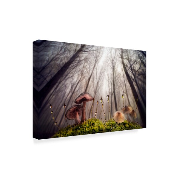 Alberto Ghizzi Panizza 'Small And Giant Creatures' Canvas Art,22x32